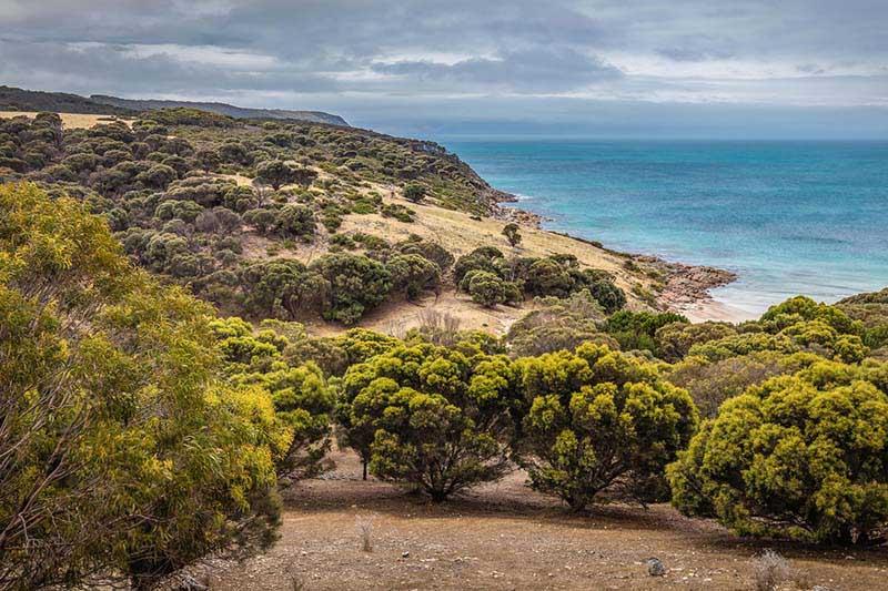Sea Dragon Kangaroo Island Penneshaw Eksteriør bilde